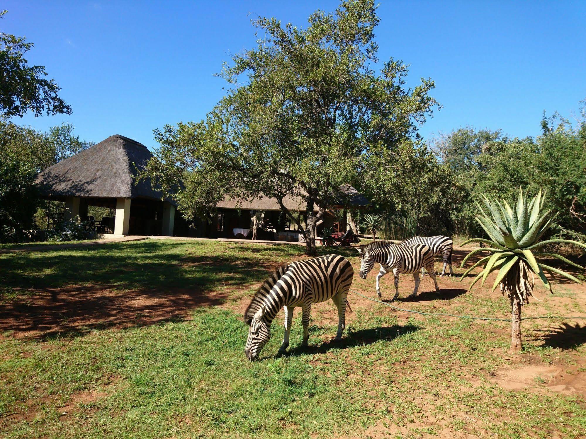 Royal Kruger alojamiento Marloth Park Exterior foto